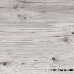 Кухонный гарнитур Сиена люкс 3000 мм в Магнитогорске - magnitogorsk.mebel24.online | фото 8