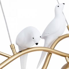 Подвесной светильник Arte Lamp Eltanin A3422SP-4GO в Магнитогорске - magnitogorsk.mebel24.online | фото 4