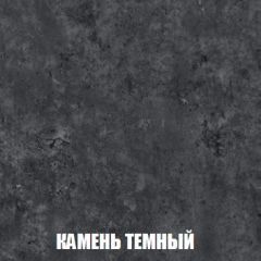 Шкаф 2-х створчатый МСП-1 (Дуб Золотой/Камень темный) в Магнитогорске - magnitogorsk.mebel24.online | фото 5