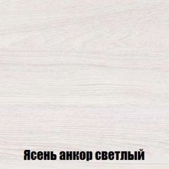 Шкаф 2-х створчатый МСП-1 (Ясень Анкор светлый) в Магнитогорске - magnitogorsk.mebel24.online | фото 4