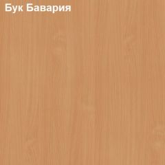 Шкаф для документов средний с нижними дверями Логика Л-13.1 в Магнитогорске - magnitogorsk.mebel24.online | фото 2