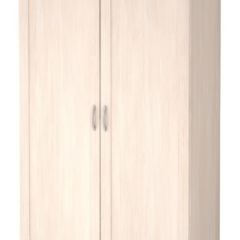 Шкаф для одежды 2-х дверный Ника-Люкс 21 в Магнитогорске - magnitogorsk.mebel24.online | фото 2