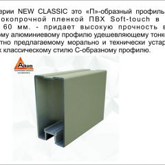 Шкаф-купе 1500 серии NEW CLASSIC K3+K3+B2+PL1 (2 ящика+1 штанга) профиль «Капучино» в Магнитогорске - magnitogorsk.mebel24.online | фото 5