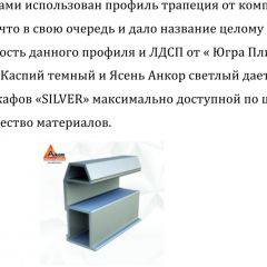 Шкаф-купе 1500 серии SILVER S1+S1+B2+PL2 (2 ящика+1 штанга+1 полка) профиль «Серебро» в Магнитогорске - magnitogorsk.mebel24.online | фото 4