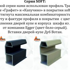 Шкаф-купе 1600 серии SOFT D6+D6+B2+PL3 (2 ящика+2штанги) профиль «Капучино» в Магнитогорске - magnitogorsk.mebel24.online | фото 12