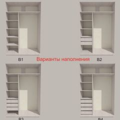 Шкаф-купе 1700 серии SILVER S1+S1+B2+PL2 (2 ящика+1 штанга+1 полка) профиль «Серебро» в Магнитогорске - magnitogorsk.mebel24.online | фото 5