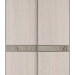 Шкаф-купе 1700 серии SILVER S1+S1+B2+PL2 (2 ящика+1 штанга+1 полка) профиль «Серебро» в Магнитогорске - magnitogorsk.mebel24.online | фото 10