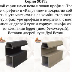 Шкаф-купе 2100 серии SOFT D5+D5+D5+B22+PL4 (по 2 ящика лев/прав+2штанги) профиль «Графит» в Магнитогорске - magnitogorsk.mebel24.online | фото 11