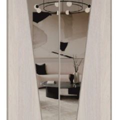 Шкаф-купе 2250 серии SILVER S3+S1+S3Z B22+PL2 (по 2 ящика лев/прав+1штанга+1 полка) профиль «Серебро» в Магнитогорске - magnitogorsk.mebel24.online | фото 15