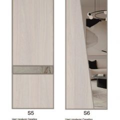 Шкаф-купе 2250 серии SILVER S3+S1+S4 B22+PL3 (по 2 ящика лев/прав+2 штанги) профиль «Серебро» в Магнитогорске - magnitogorsk.mebel24.online | фото 14