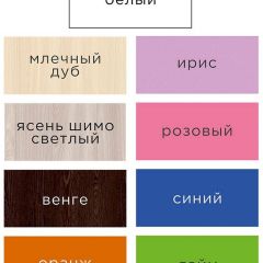 Стеллаж Мини 4 в Магнитогорске - magnitogorsk.mebel24.online | фото 13