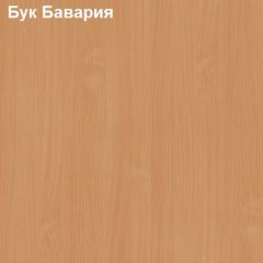 Стол компьютерный с нишей Логика Л-2.11 в Магнитогорске - magnitogorsk.mebel24.online | фото