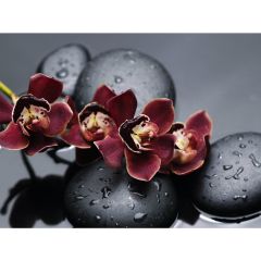 Стол обеденный Бостон Ст101.1 орхидеи в Магнитогорске - magnitogorsk.mebel24.online | фото 3