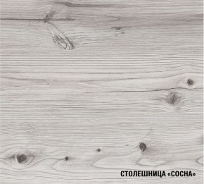 АСАЯ Кухонный гарнитур Прайм 400 (1100*2000 мм) в Магнитогорске - magnitogorsk.mebel24.online | фото 7