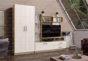 ДАРЬЯ Гостиная (Крафт серый/Крафт белый) в Магнитогорске - magnitogorsk.mebel24.online | фото