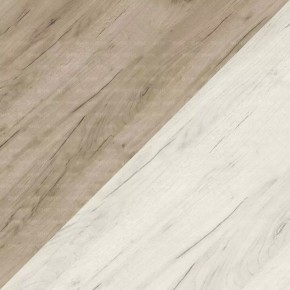 ДАРЬЯ Гостиная (Крафт серый/Крафт белый) в Магнитогорске - magnitogorsk.mebel24.online | фото 10