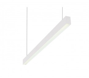 DK9124-WH Линейный светильник 30W 1250mm 4000K, белый в Магнитогорске - magnitogorsk.mebel24.online | фото 1