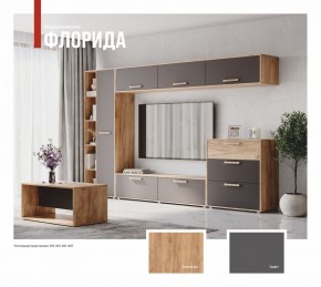ФЛОРИДА Гостиная (модульная) дуб золотой/графит в Магнитогорске - magnitogorsk.mebel24.online | фото