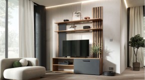 КАРОЛИНА Гостиная (дуб вотан/графит) в Магнитогорске - magnitogorsk.mebel24.online | фото