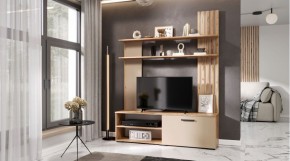 КАРОЛИНА Гостиная (дуб вотан/кашемир) в Магнитогорске - magnitogorsk.mebel24.online | фото