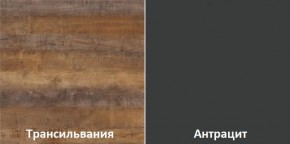 Кухонный гарнитур угловой Трансильвания 2600х1600 мм (Стол. 26 мм) в Магнитогорске - magnitogorsk.mebel24.online | фото 3