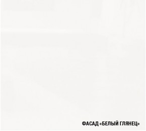 ЛОТОС Кухонный гарнитур Экстра 5 (3000 мм) в Магнитогорске - magnitogorsk.mebel24.online | фото 5