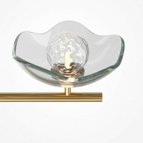 Люстра на штанге Maytoni Miracle MOD207PL-05BS в Магнитогорске - magnitogorsk.mebel24.online | фото 5