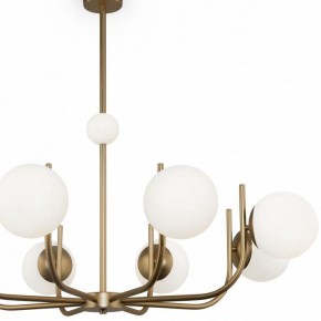 Люстра на штанге Maytoni Rendez-vous MOD109PL-08BS в Магнитогорске - magnitogorsk.mebel24.online | фото 4