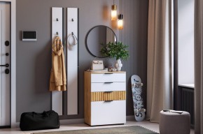 МЕБЕЛЬСОН К21 Прихожая (белое дерево) в Магнитогорске - magnitogorsk.mebel24.online | фото