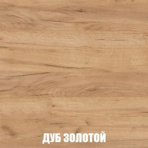 МСП-1 Шкаф 2-х створчатый (Дуб Золотой/Камень темный) в Магнитогорске - magnitogorsk.mebel24.online | фото 4