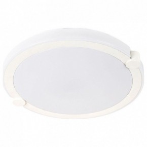 Накладной светильник Arte Lamp Biscotti A2679PL-72WH в Магнитогорске - magnitogorsk.mebel24.online | фото