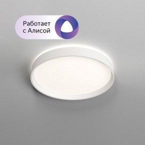 Накладной светильник Denkirs PLATO DK6510-WH/1 в Магнитогорске - magnitogorsk.mebel24.online | фото 3