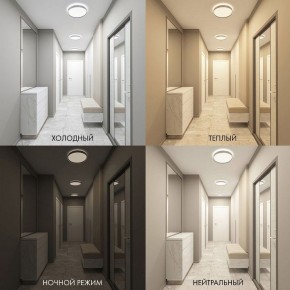 Накладной светильник Denkirs PLATO DK6510-WH/1 в Магнитогорске - magnitogorsk.mebel24.online | фото 5
