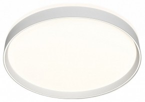 Накладной светильник Denkirs PLATO DK6511-WH/1 в Магнитогорске - magnitogorsk.mebel24.online | фото