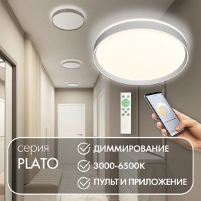 Накладной светильник Denkirs PLATO DK6511-WH/1 в Магнитогорске - magnitogorsk.mebel24.online | фото 4