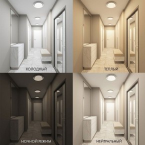 Накладной светильник Denkirs Cany DK6516-WH в Магнитогорске - magnitogorsk.mebel24.online | фото 4