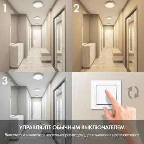 Накладной светильник Denkirs Cany DK6516-WH в Магнитогорске - magnitogorsk.mebel24.online | фото 6