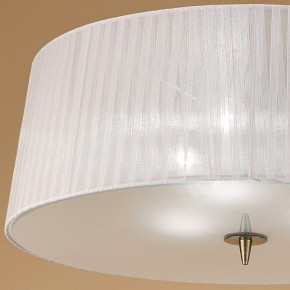 Накладной светильник Mantra Loewe 4740 в Магнитогорске - magnitogorsk.mebel24.online | фото 3