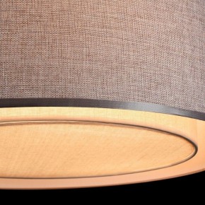 Накладной светильник Maytoni Bergamo MOD613CL-04GR в Магнитогорске - magnitogorsk.mebel24.online | фото 10