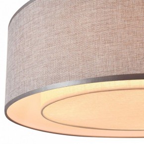 Накладной светильник Maytoni Bergamo MOD613CL-04GR в Магнитогорске - magnitogorsk.mebel24.online | фото 7