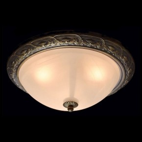 Накладной светильник MW-Light Ариадна 450015703 в Магнитогорске - magnitogorsk.mebel24.online | фото 2