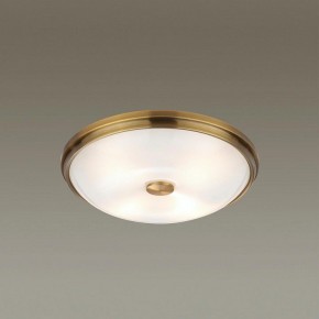 Накладной светильник Odeon Light Pelow 4956/4 в Магнитогорске - magnitogorsk.mebel24.online | фото 2
