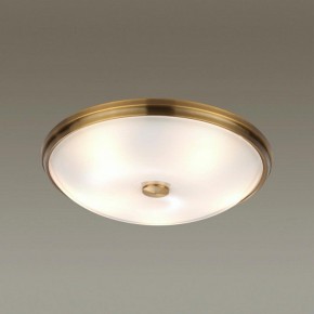Накладной светильник Odeon Light Pelow 4956/5 в Магнитогорске - magnitogorsk.mebel24.online | фото 2