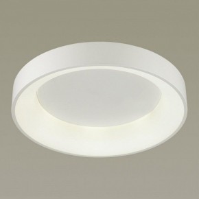 Накладной светильник Odeon Light Sole 4062/50CL в Магнитогорске - magnitogorsk.mebel24.online | фото 2