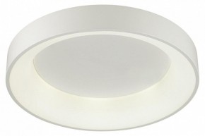 Накладной светильник Odeon Light Sole 4062/50CL в Магнитогорске - magnitogorsk.mebel24.online | фото 3