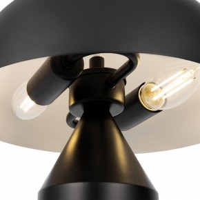 Настольная лампа декоративная Freya Eleon FR5218TL-02B1 в Магнитогорске - magnitogorsk.mebel24.online | фото 5