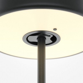 Настольная лампа декоративная Maytoni AI Collaboration MOD229TL-L3B3K2 в Магнитогорске - magnitogorsk.mebel24.online | фото 5