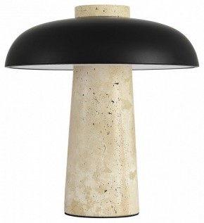 Настольная лампа декоративная ST-Luce Earthy SL1194.424.01 в Магнитогорске - magnitogorsk.mebel24.online | фото