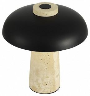 Настольная лампа декоративная ST-Luce Earthy SL1194.424.01 в Магнитогорске - magnitogorsk.mebel24.online | фото 5