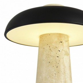 Настольная лампа декоративная ST-Luce Earthy SL1194.424.01 в Магнитогорске - magnitogorsk.mebel24.online | фото 6